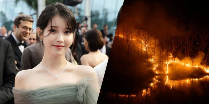 IU Donates 200 Million Wonto Support Wildfire Victims in South Korea